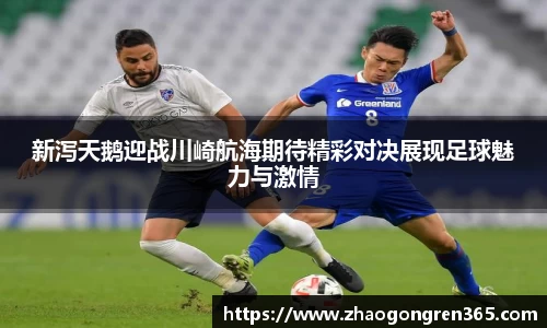 zoty中欧