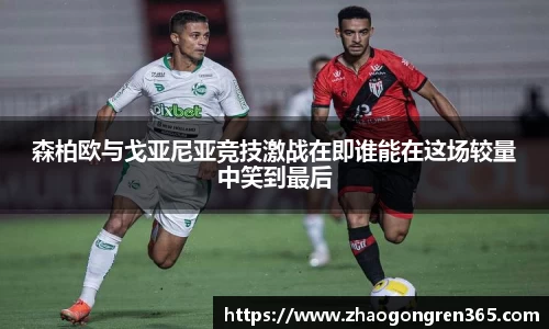 zoty中欧体育官方网站